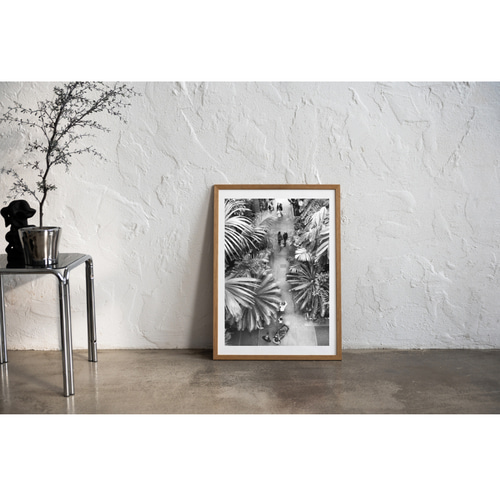 インテリアポスターー モノクロ インテリア フォト グラフィック ポスター 【 botanical