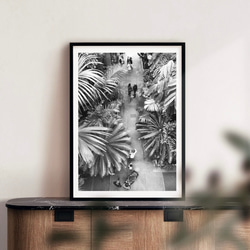 モノクロ インテリア フォト グラフィック ポスター 【 botanical