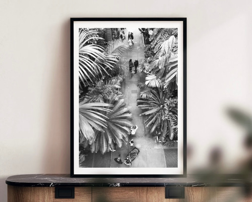 額装品/Visages（タハラ ケイイチ）フォト モノクロ アートポスター 額装品/Visages（タハラ ケイイチ）フォト モノクロ アートポスター