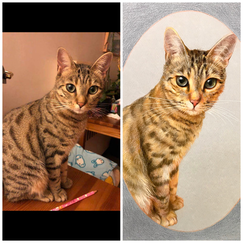 1点もの　オーダー品「猫」油絵 6978c154649884455eb6018b2a2351