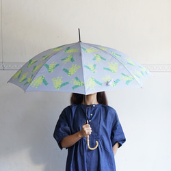 竹の傘 晴雨兼用 ミモザ  ライトグレー ALCEDO 161023 1枚目の画像
