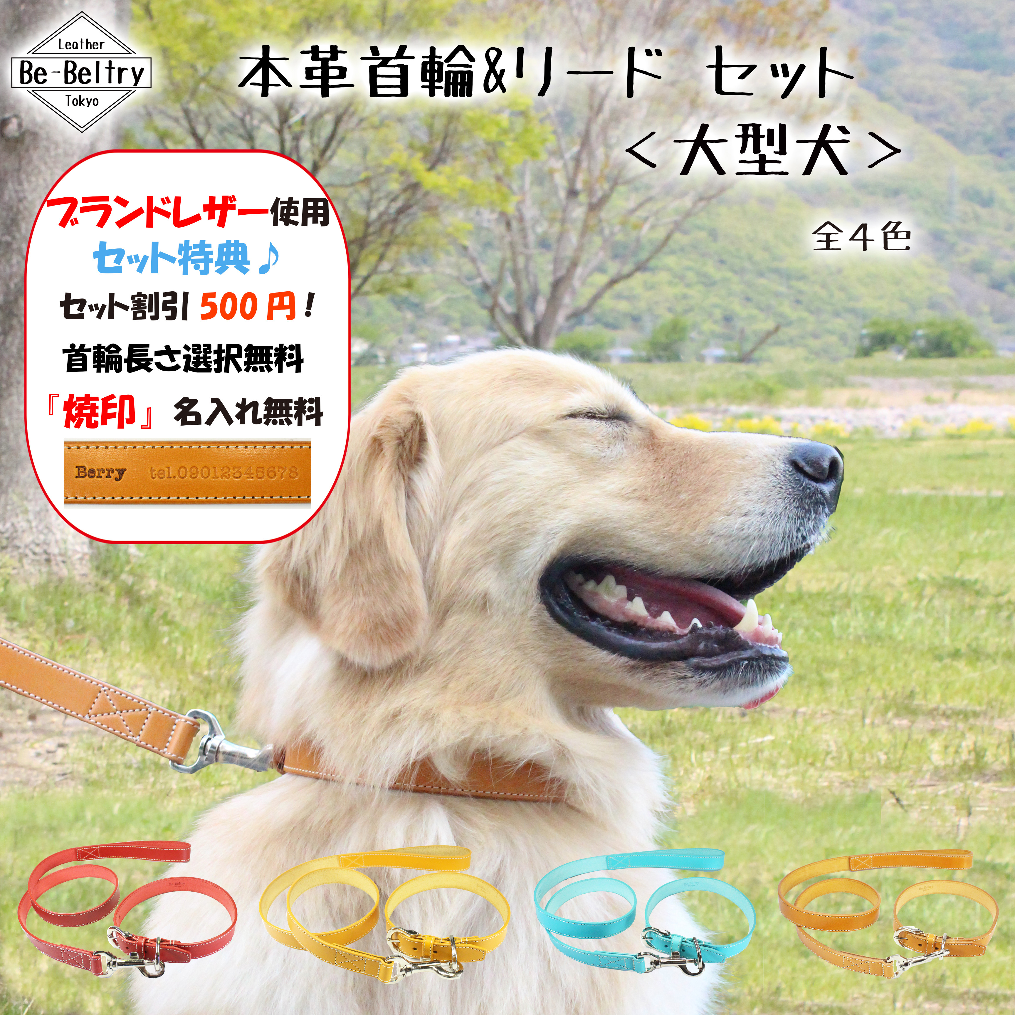 送料無料】本革首輪&リードセット〈大型犬〉レザー 名前・電話番号