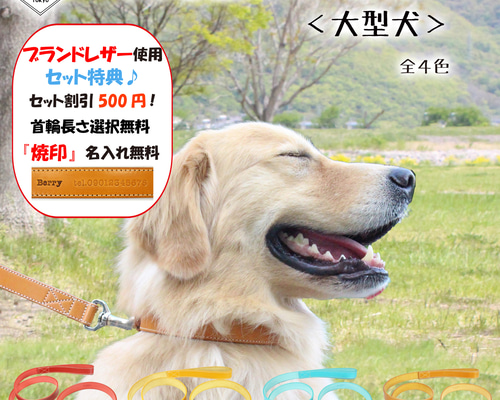 6406e1ff25a93b4685a7c8cb4a1d91