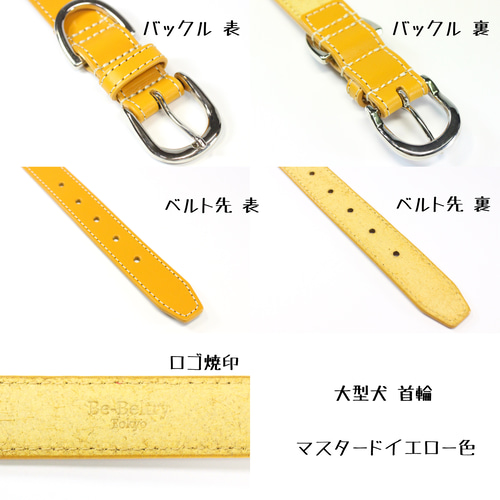 送料無料】本革首輪&リードセット〈大型犬〉レザー 名前・電話番号