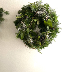 ■針葉樹のグリーンリース■クリスマス　インテリア　ディスプレイ　開店祝い　　 4枚目の画像