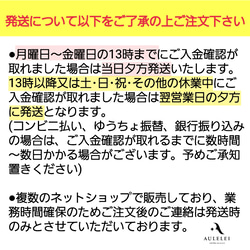 つけっぱなし サージカルステンレス フープピアス 金属アレルギー対応 9枚目の画像