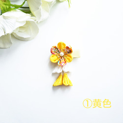  第4張的照片