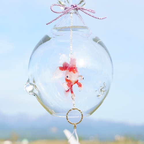 2025年販売開始「 そらとぶきんぎょ -出目金- 」 ガラス風鈴 風鈴 鈴木