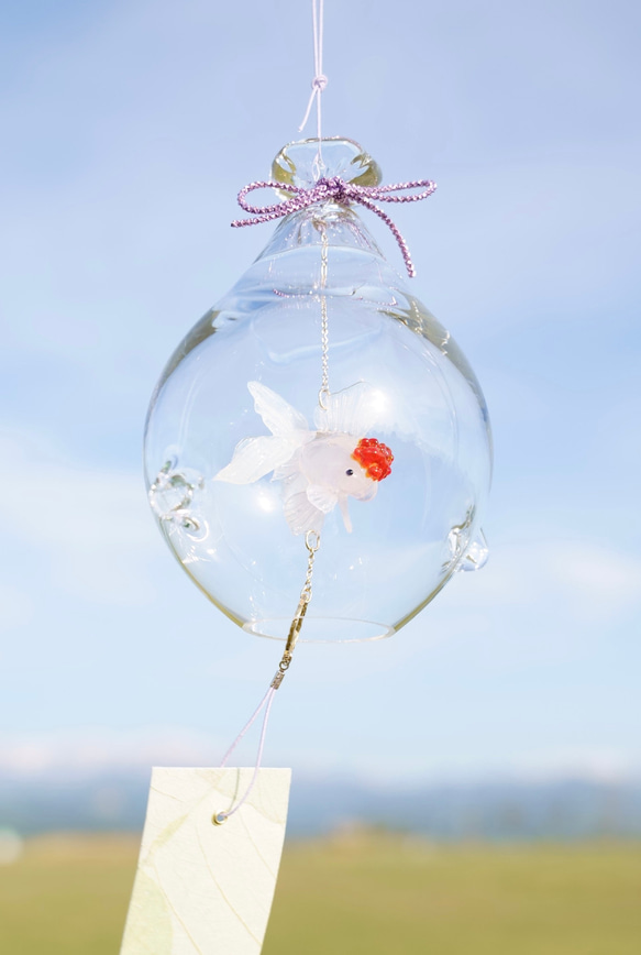 2025年販売開始「 そらとぶきんぎょ　-丹頂- 」　ガラス風鈴 2枚目の画像