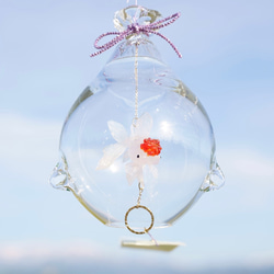 2025年販売開始「 そらとぶきんぎょ　-丹頂- 」　ガラス風鈴 5枚目の画像