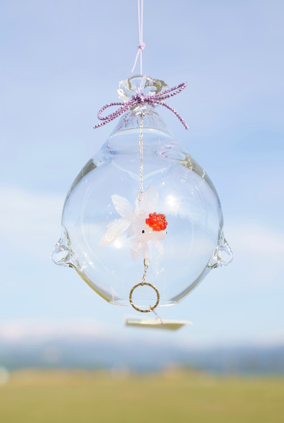 2025年販売開始「 そらとぶきんぎょ　-丹頂- 」　ガラス風鈴 5枚目の画像