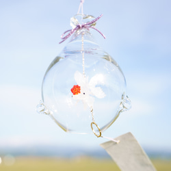 2025年販売開始「 そらとぶきんぎょ　-丹頂- 」　ガラス風鈴 4枚目の画像