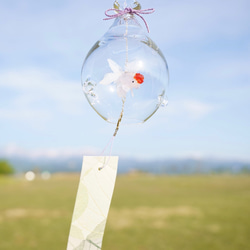 2025年販売開始「 そらとぶきんぎょ　-丹頂- 」　ガラス風鈴 6枚目の画像