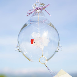 2025年販売開始「 そらとぶきんぎょ　-丹頂- 」　ガラス風鈴 3枚目の画像