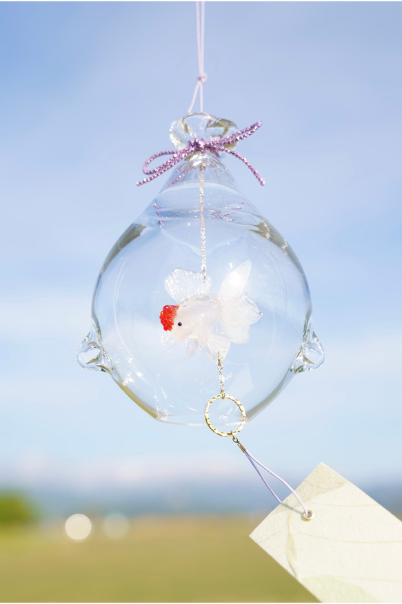 2025年販売開始「 そらとぶきんぎょ　-丹頂- 」　ガラス風鈴 3枚目の画像