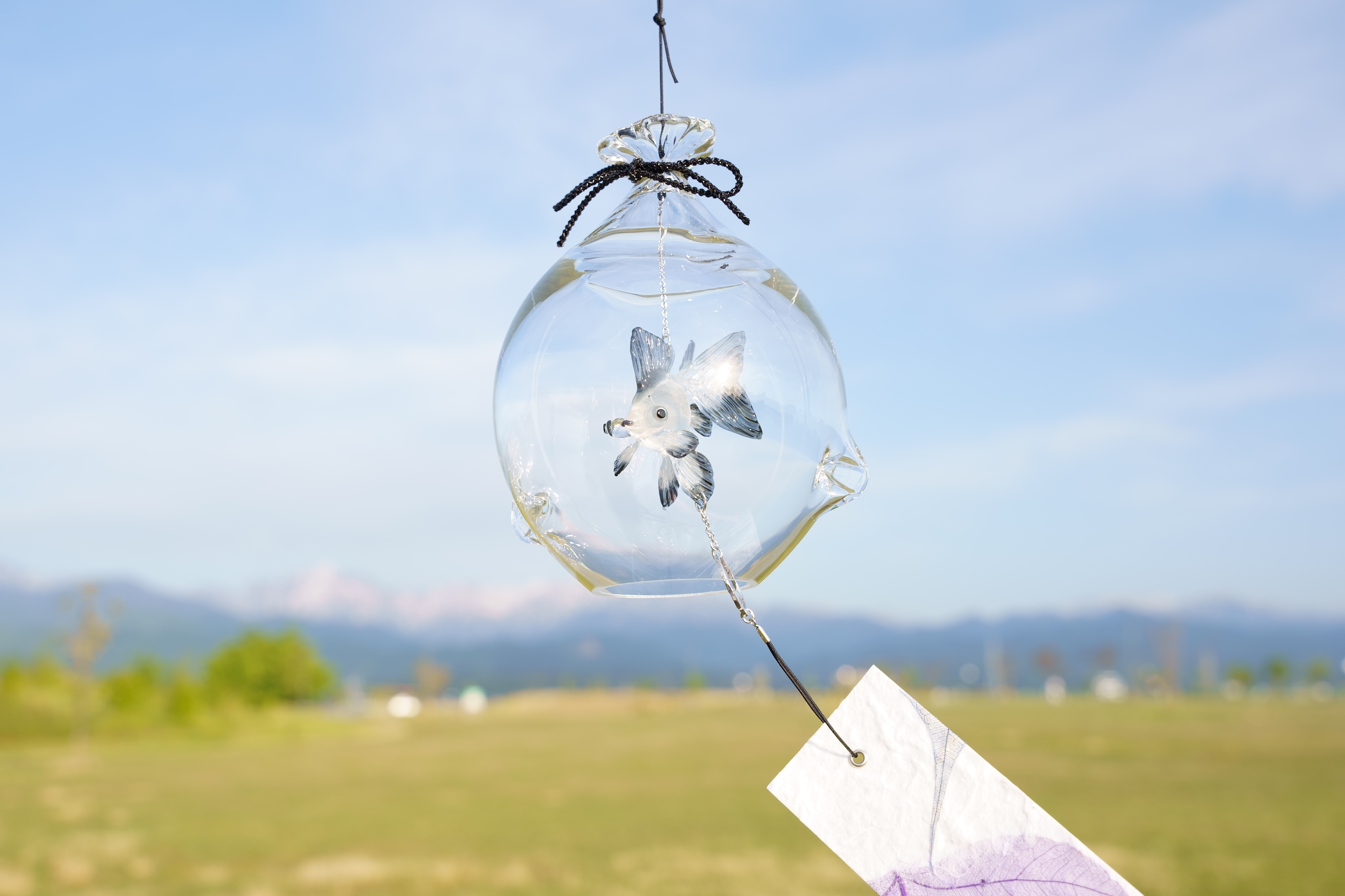 2025年販売開始「 そらとぶきんぎょ　-パンダ蝶尾- 」　ガラス風鈴