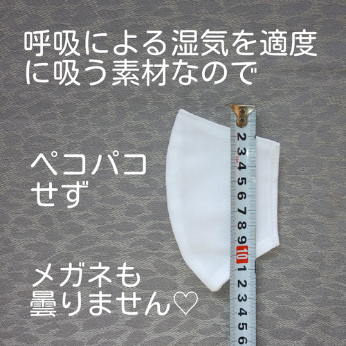 送料込＊改良型【薄型立体インナーマスク】普通サイズ2枚入＊高級和  