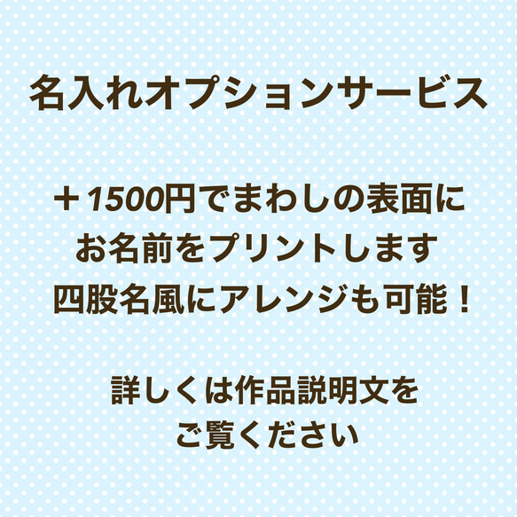 【名入れOK】赤ちゃん化粧まわし「えびすこくん」《黄色い大漁旗》男の子のこどもの日・端午の節句・初節句記念撮影衣装 16枚目の画像