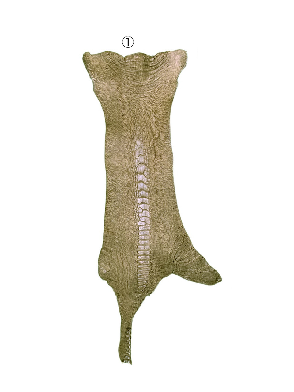 クライン・カルー　オーストレッグ　マット仕上げ　オーストリッチ脚部　２枚セット有　エキゾチックレザー