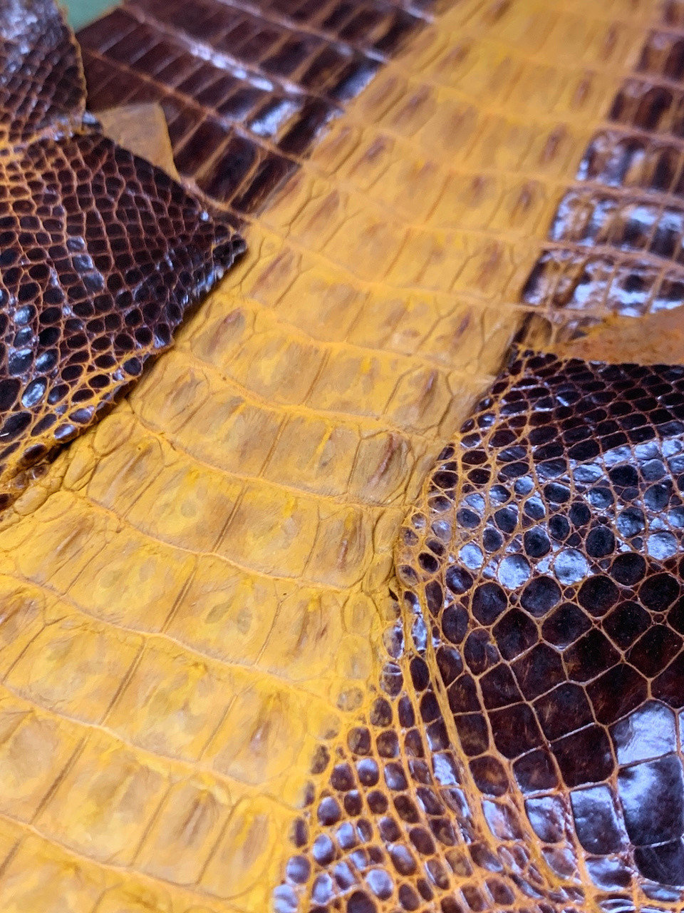 クロコダイル　ワニ革　エキゾチックレザー