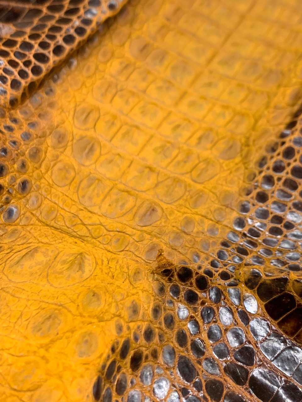 クロコダイル　ワニ革　エキゾチックレザー