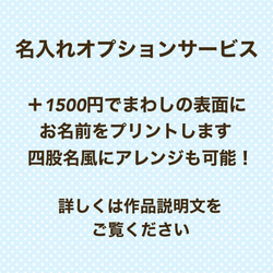 【名入れOK】赤ちゃん化粧まわし「えびすこくん」《雅な花と扇と鶴・赤》男の子のこどもの日・端午の節句・初節句記念撮影衣装 14枚目の画像