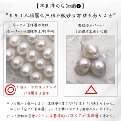  第14張的照片