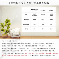  第15張的照片