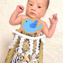 【名入れOK】赤ちゃん化粧まわし「えびすこくん」《勇壮な虎・4》ムチムチ赤ちゃんが小さなお相撲さんに！ 7枚目の画像