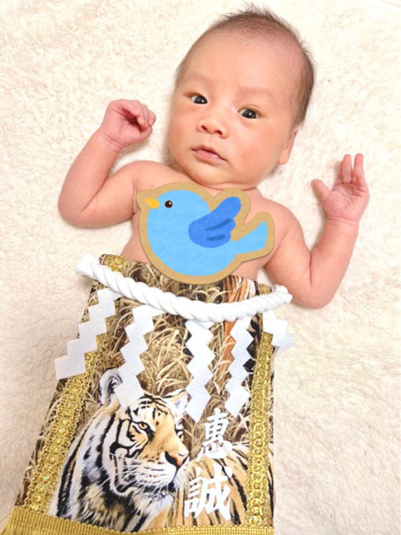 赤ちゃん 化粧 まわし 名前旗 3ヶ月～2歳 端午の節句 泣き相撲