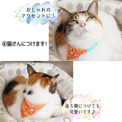 【猫用】ユニフォーム風バンダナ（女子ver） 7枚目の画像