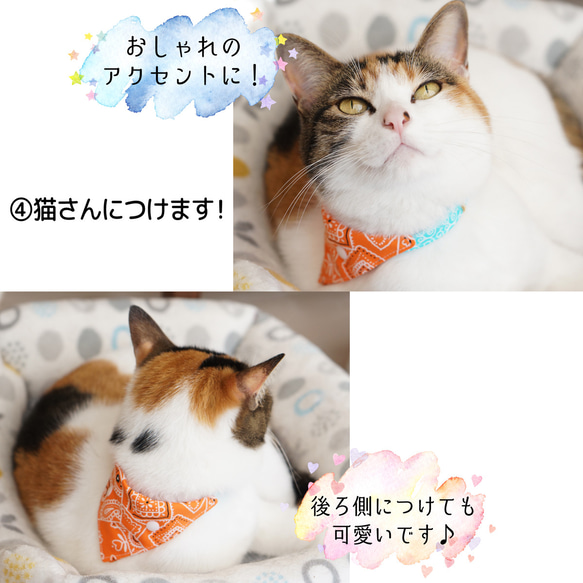 【猫用】ユニフォーム風バンダナ（女子ver） 7枚目の画像
