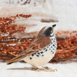 【受注後制作】羊毛フェルト 野鳥 小鳥 卓上マスコット ツグミ 3枚目の画像