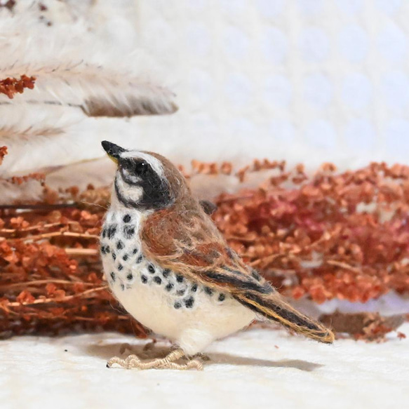 【受注後制作】羊毛フェルト 野鳥 小鳥 卓上マスコット ツグミ 2枚目の画像