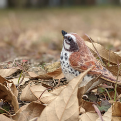 【受注後制作】羊毛フェルト 野鳥 小鳥 卓上マスコット ツグミ 1枚目の画像