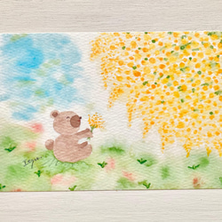 3枚セット「くまさん、ミモザのお花見」水彩画イラストポストカード　春　入園入学　バースデーカード　クマ 1枚目の画像