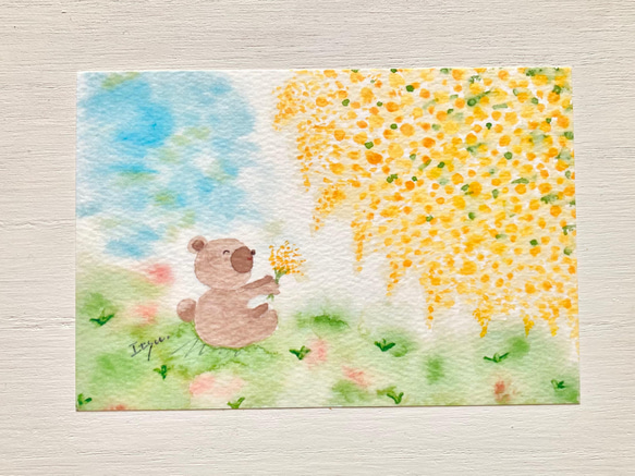 3枚セット「くまさん、ミモザのお花見」水彩画イラストポストカード　春　入園入学　バースデーカード　クマ 1枚目の画像