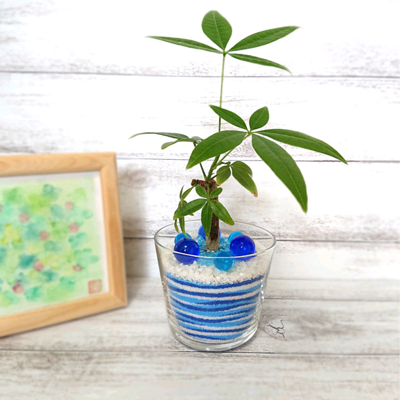 ◇受注制作◇ライン模様のグラスサンドアート 観葉植物 鉢植え 花瓶