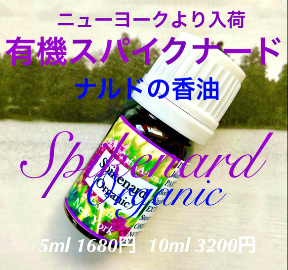 有機スパイクナード精油5ml 2枚目の画像