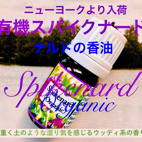 ナルドの香油】有機スパイクナード精油5ml その他素材
