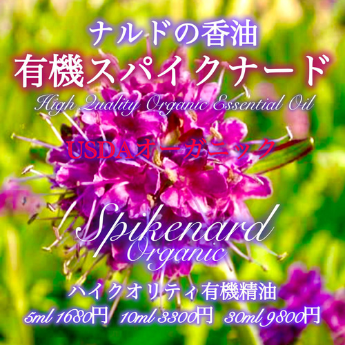 ナルドの香油】有機スパイクナード精油5ml その他素材