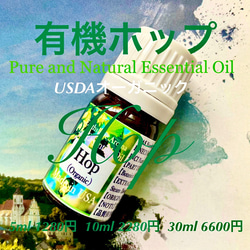 有機（USDAオーガニック）ホップ精油5ml 2枚目の画像