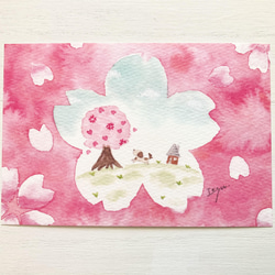円高還元 透明水彩画 3枚セット「桜さくら」水彩画イラストポストカード 絵画