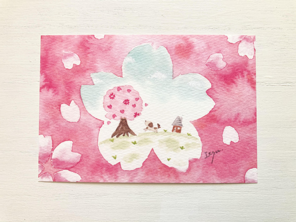 透明水彩画 3枚セット「桜さくら」水彩画イラストポストカード
