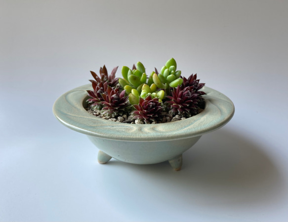 陶製植木鉢「碧」 1枚目の画像