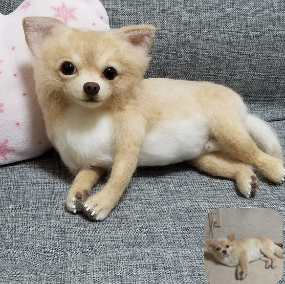 愛犬オーダーメイド　全身タイプ　羊毛フェルト　　サイズ25㎝　メモリアル　ペットロス 10枚目の画像