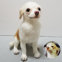 愛犬オーダーメイド　全身タイプ　羊毛フェルト　　サイズ25㎝　メモリアル　ペットロス 12枚目の画像