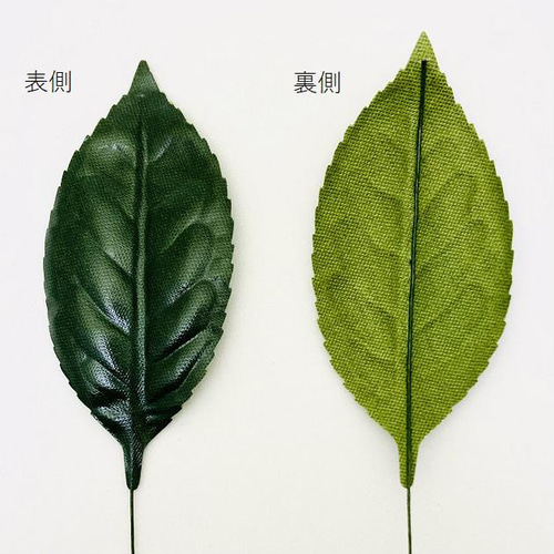レザー椿リーフ 大 20枚セット その他素材 Flower-style Alice 通販