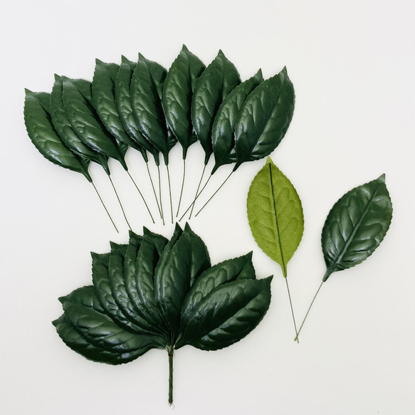 レザー椿リーフ 大 20枚セット その他素材 Flower-style Alice 通販