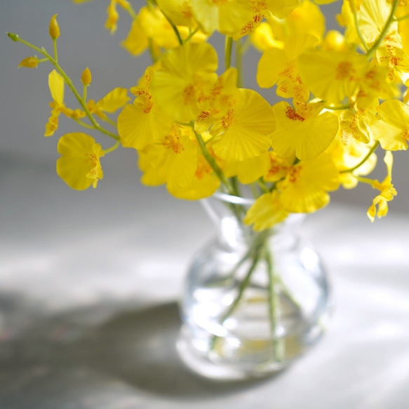 （水換え不要）オンシジュームの花瓶挿し 2枚目の画像